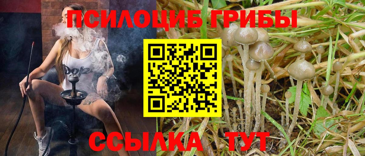 Галлюциногенные грибы MAGIC MUSHROOMS Ачинск
