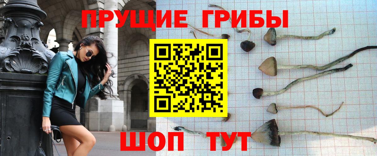 Псилоцибиновые грибы ЛСД  Галлюциногенные грибы Cubensis  Вход с VPN  Ачинск 